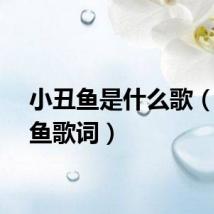 小丑鱼是什么歌（小丑鱼歌词）