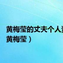 黄梅莹的丈夫个人资料(黄梅莹)