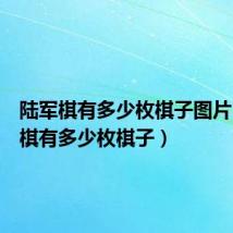 陆军棋有多少枚棋子图片(陆军棋有多少枚棋子)