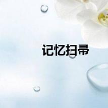 记忆扫帚
