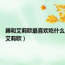 藤和艾莉欧最喜欢吃什么(藤和艾莉欧)