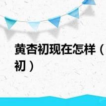 黄杏初现在怎样（黄杏初）