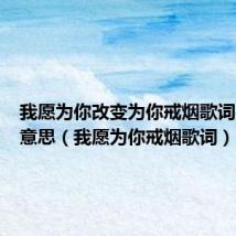 我愿为你改变为你戒烟歌词是什么意思(我愿为你戒烟歌词)