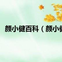 颜小健百科（颜小健）