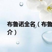 布鲁诺全名（布鲁诺简介）