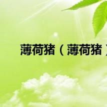 薄荷猪（薄荷猪）