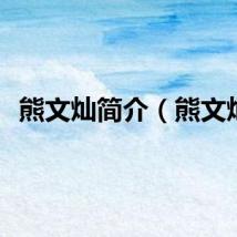 熊文灿简介（熊文灿）