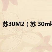 苏30M2(苏 30mk2)