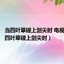 当四叶草碰上剑尖时 电视剧(当四叶草碰上剑尖时)