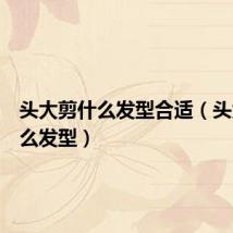 头大剪什么发型合适(头大剪什么发型)
