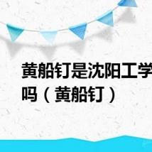 黄船钉是沈阳工学院的吗(黄船钉)