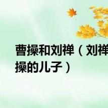曹操和刘禅（刘禅是曹操的儿子）