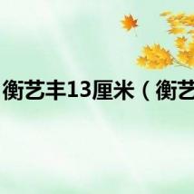 衡艺丰13厘米(衡艺丰)