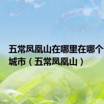 五常凤凰山在哪里在哪个省哪个城市(五常凤凰山)