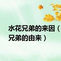 水花兄弟的来因（水花兄弟的由来）