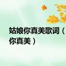 姑娘你真美歌词（姑娘你真美）