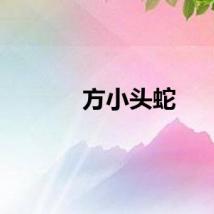 方小头蛇