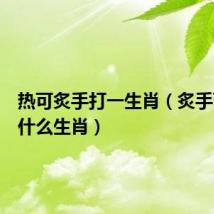 热可炙手打一生肖(炙手可热是什么生肖)
