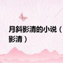 月斜影清的小说（月斜影清）