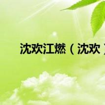 沈欢江燃（沈欢）