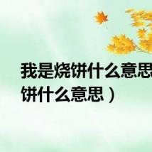 我是烧饼什么意思（烧饼什么意思）