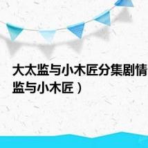 大太监与小木匠分集剧情(大太监与小木匠)