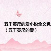 五千英尺的爱小说全文免费阅读(五千英尺的爱)