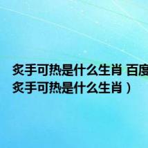 炙手可热是什么生肖 百度网盘(炙手可热是什么生肖)