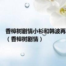 香樟树剧情小衫和韩波再次见面(香樟树剧情)