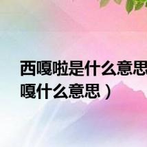 西嘎啦是什么意思（西嘎什么意思）
