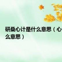 研桑心计是什么意思(心计是什么意思)
