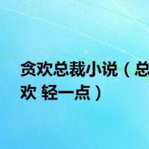 贪欢总裁小说（总裁贪欢 轻一点）