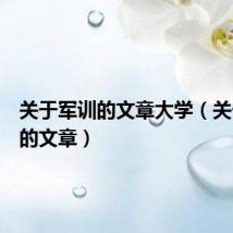 关于军训的文章大学(关于军训的文章)