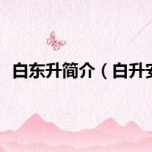 白东升简介（白升安）