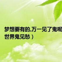 梦想要有的,万一见了鬼呢(梦想世界鬼见愁)
