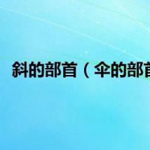 斜的部首（伞的部首）