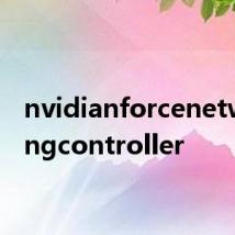 nvidianforcenetworkingcontroller