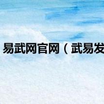 易武网官网（武易发布）