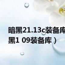 暗黑21.13c装备库(暗黑1 09装备库)