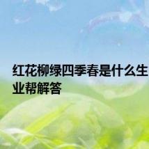 红花柳绿四季春是什么生肖求作业帮解答