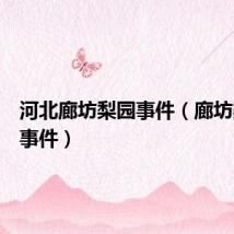 河北廊坊梨园事件(廊坊梨园村事件)
