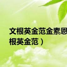 文根英金范金素恩（文根英金范）