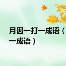 月因一打一成语（一打一成语）