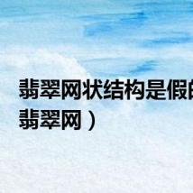 翡翠网状结构是假的吗(翡翠网)
