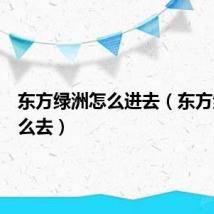 东方绿洲怎么进去(东方绿洲怎么去)