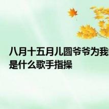 八月十五月儿圆爷爷为我打月饼是什么歌手指操