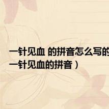 一针见血 的拼音怎么写的拼音(一针见血的拼音)