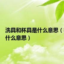 洗具和杯具是什么意思(杯具是什么意思)