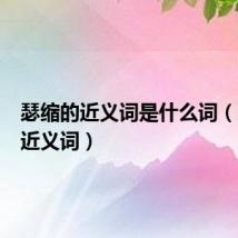 瑟缩的近义词是什么词(瑟缩的近义词)