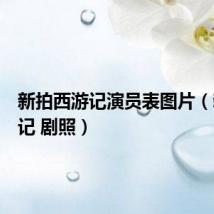 新拍西游记演员表图片(新西游记 剧照)